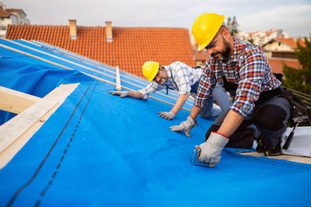 Roof Gutter Cleaning in Redwood, TX