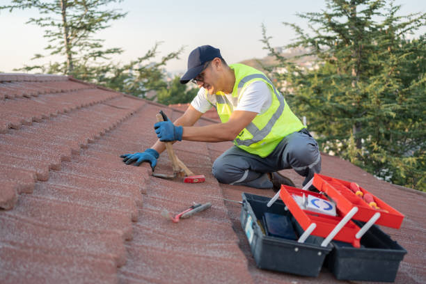 Best Gutter Installation and Roofing  in Redwood, TX